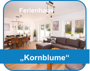 „Kornblume“ Ferienhaus